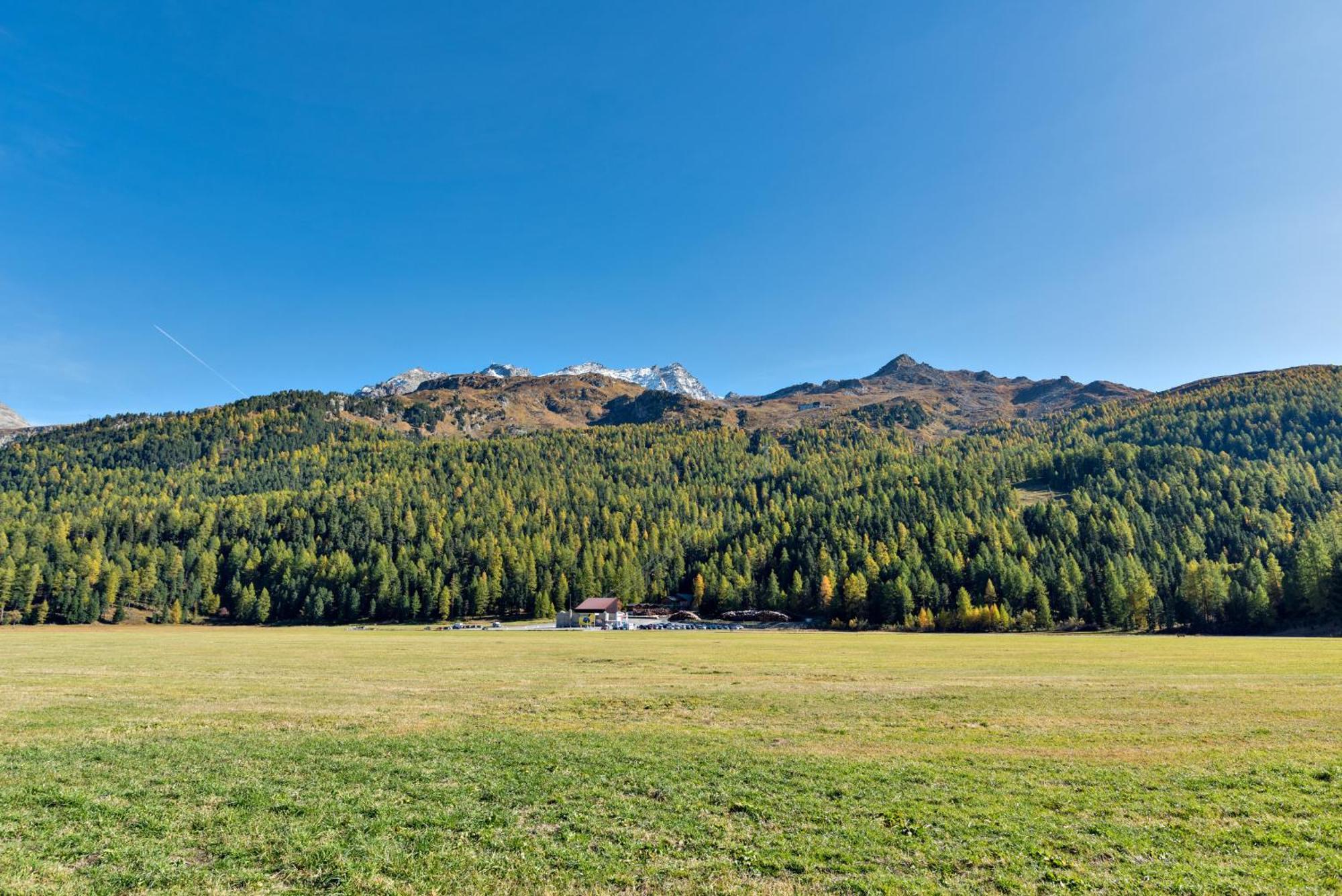 Chesa Allegria - Sils Maria Exterior photo